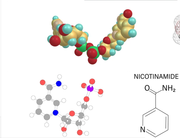 AIDEVI NMN and His Team’s Work on NMN for Cancer NMN18000 and NMN21000 Antiaging Longevity to avoid Cancer to less pain of Cancer插图