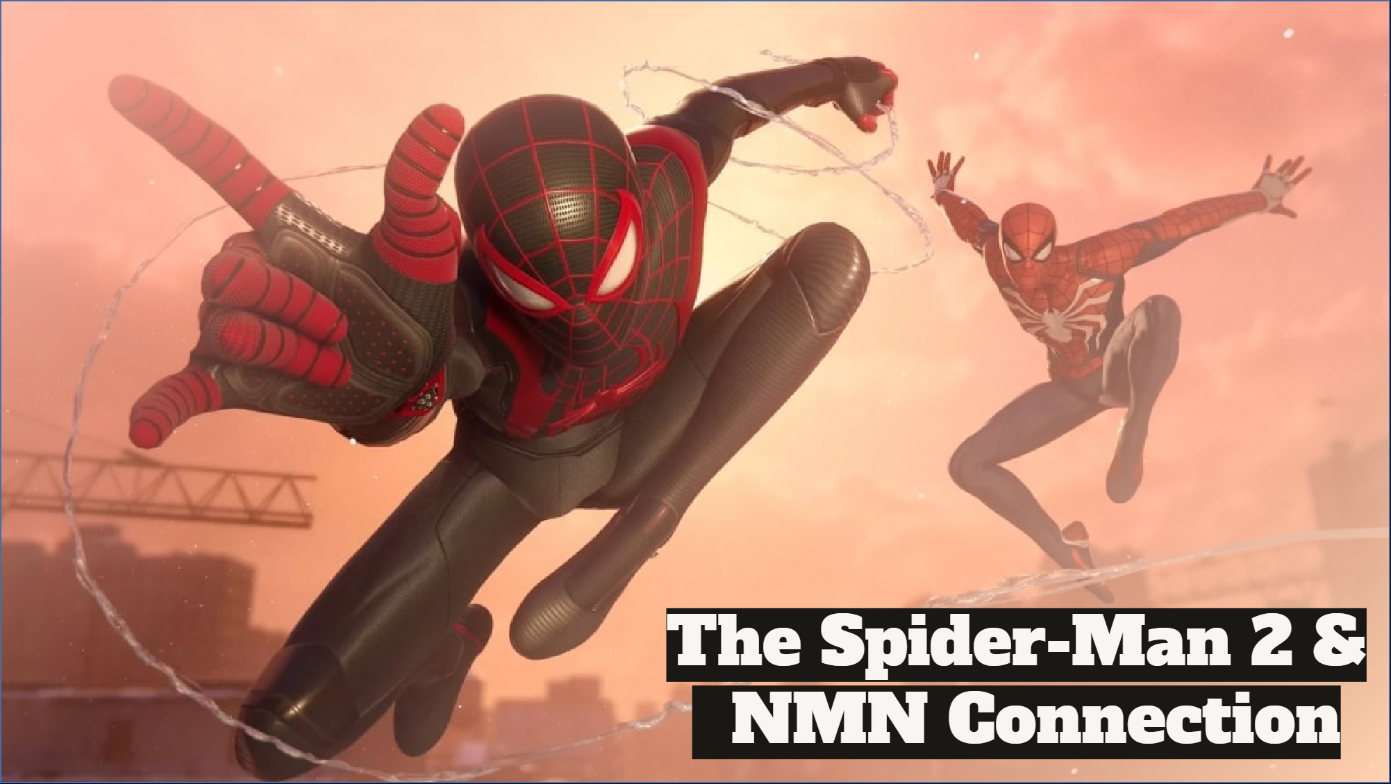 From Superheroes to Supplements: The Spider-Man 2 and NMN Connection插图